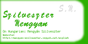 szilveszter mengyan business card