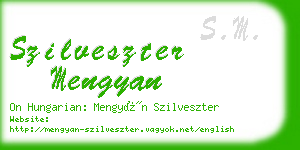 szilveszter mengyan business card